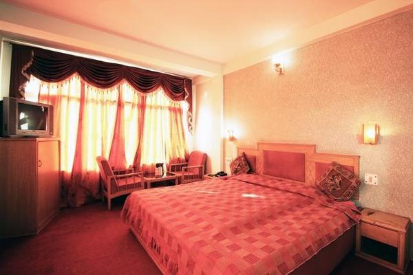 Hotel Ankit Palace